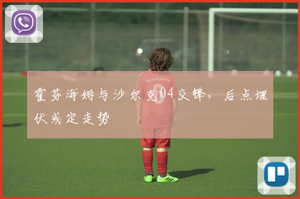 霍芬海姆与沙尔克04交锋,后点埋伏或定走势