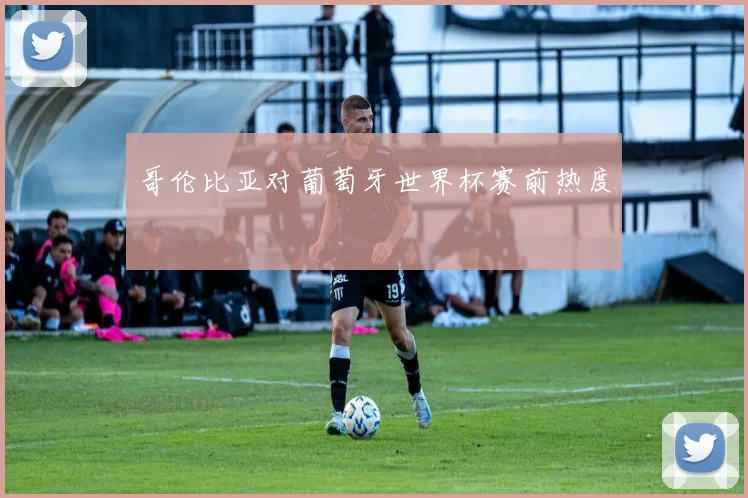 哥伦比亚对葡萄牙世界杯赛前热度