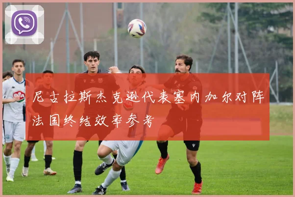 尼古拉斯杰克逊代表塞内加尔对阵法国终结效率参考