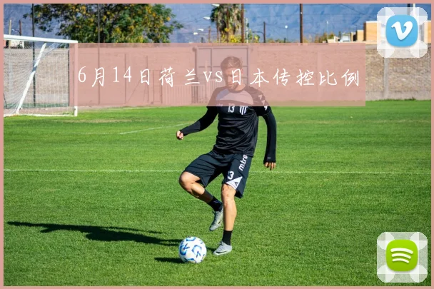 6月14日荷兰vs日本传控比例